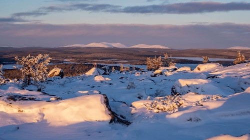 Saerkitunturi