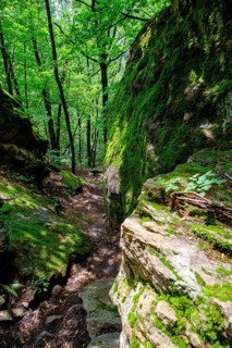 Descent through the Nussental