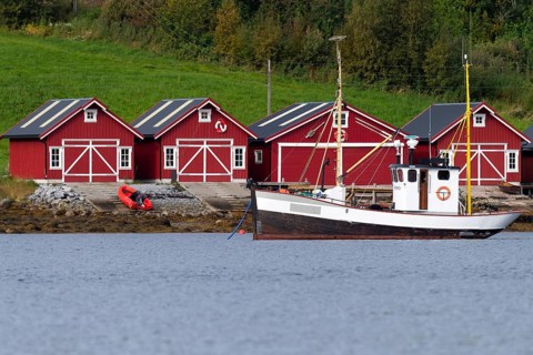 Landscape in the fjord