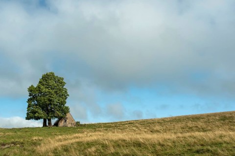 Old farm on Cezallier plateau in the Auvergne volcanoes regional natural park