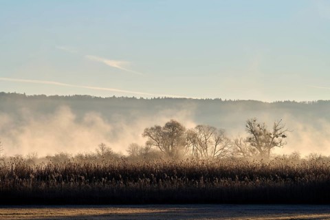 Lake Ammer in the morning with fog