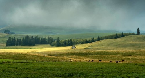 Cezallier plateau in the Auvergne volcanoes regional natural park
