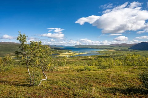 View of the Visttasjohka river delta and Lake Paittasjaervi