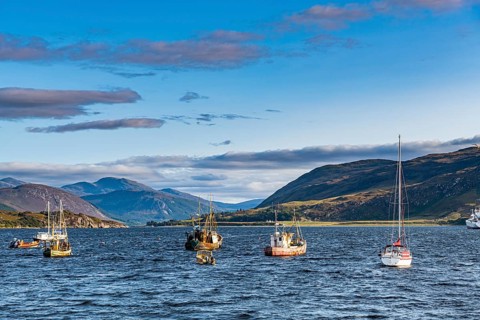 Fishing boats