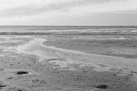 Low tide on the North Sea coast