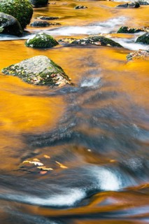 The Amber River or The Golden River