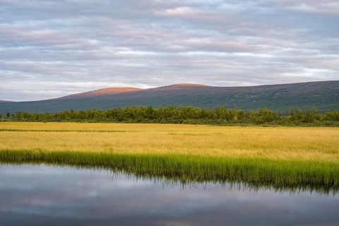 View of Lake Paittasjaervi from Nikkaluokta