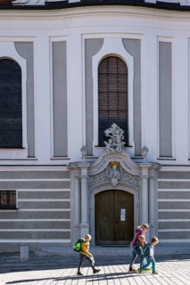 Entrance gate