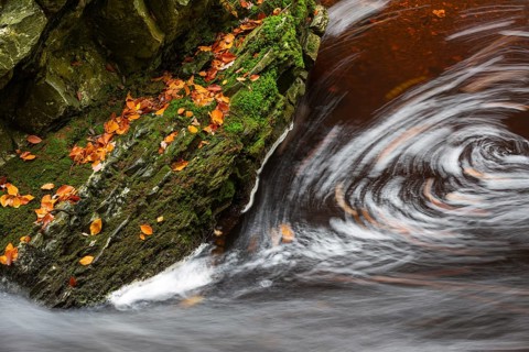 Mountain stream La Hoegne