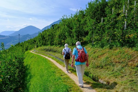 Hikers
