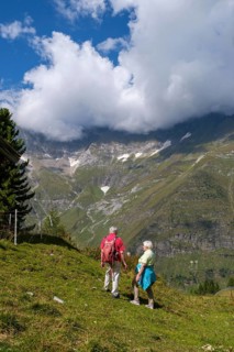 Hikers