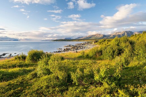 Coast near Lattervik