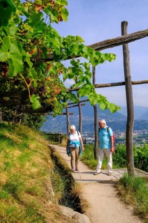 Hikers