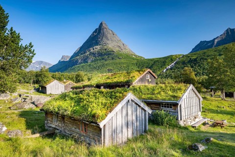 Traditional houses