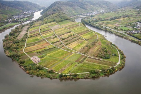 View of the Moselle loop