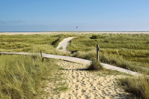Dune paths near Wittduen
