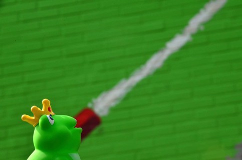 Rubber frog with crown and water jet