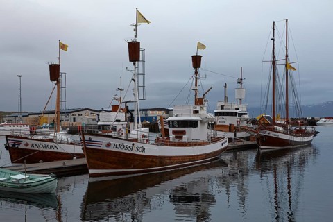 Old fishing boats