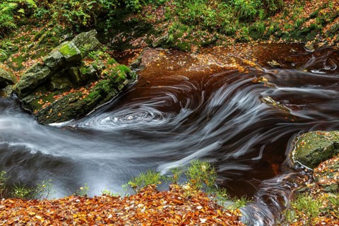 Mountain stream La Hoegne