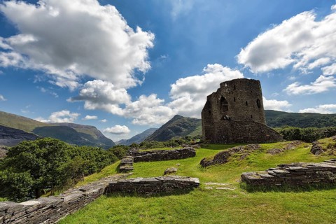 Ruins of a Medieval Castle