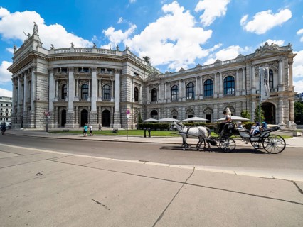 Fiaker in front of the Burgtheater