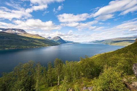 Lyngenfjord