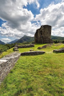 Ruins of a Medieval Castle