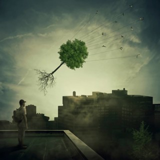 Surreal view as a boy stand on the rooftop looking at a flock of birds carrying a tree pulled from roots