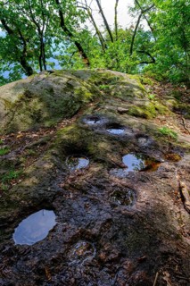 Prehistoric shell stones