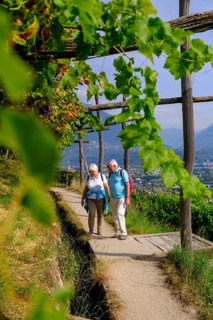 Hikers