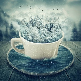 Magic cup in a cold winter day with snowy forest and mounts inside