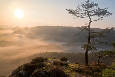 View from Kleiner Winterberg at sunrise