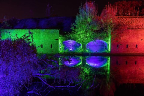 Autumn Lights in the Bridgehead Park