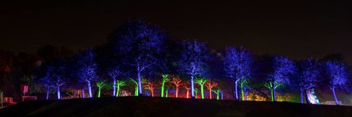 Autumn Lights in the Bridgehead Park