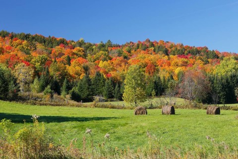 Autumn landscape in the Red River Region