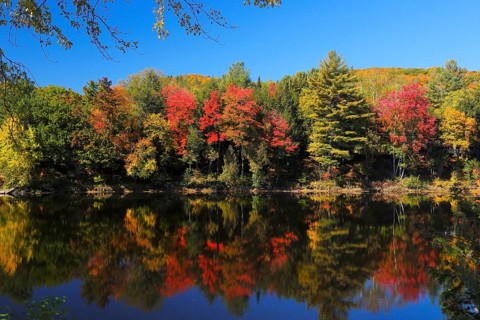Red River in Autumn