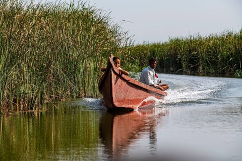 Local boat