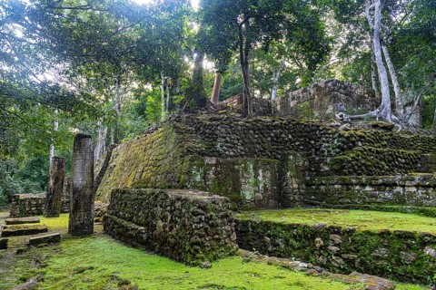 Unesco world heritage site Calakmul