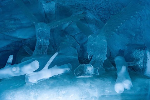 Phantasy sculptures in the Glacierworld