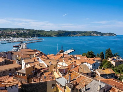 View from the Campanile of the harbour
