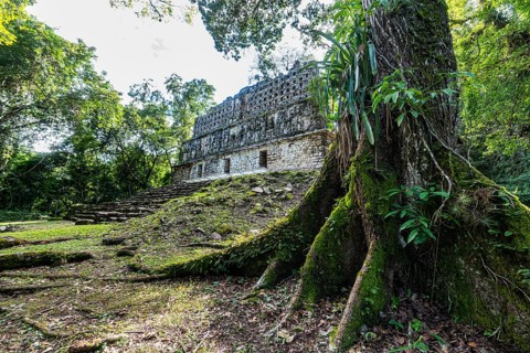 Archeological Maya site Yaxchilan in the jungle of Chiapas