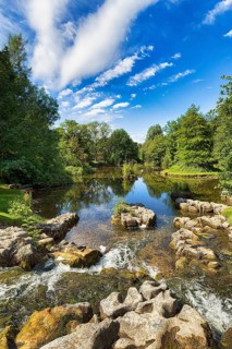 Pond with rocks in St Fiachras Garden