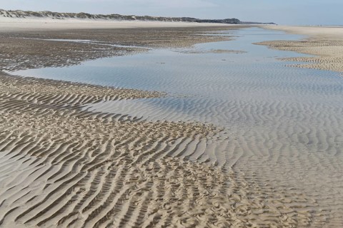 Beach at low tide