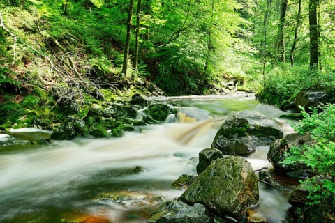 Stream course of the Hoegne