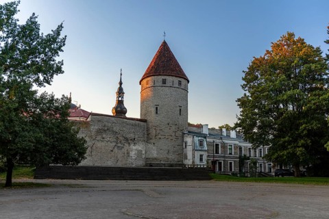 Saunatorn