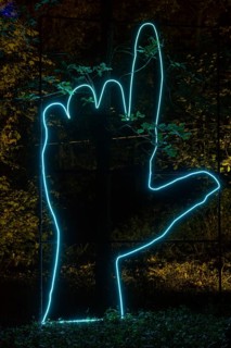 Autumn Lights in the Bridgehead Park