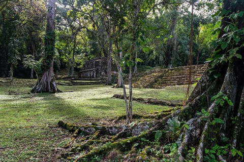 Archeological Maya site Yaxchilan in the jungle of Chiapas