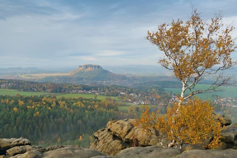 Autumn landscape