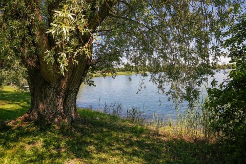 Ludwigsfelder See