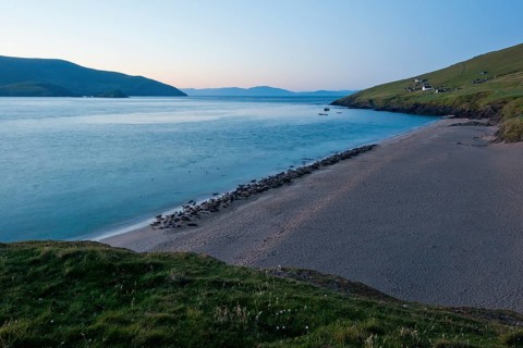 Hundreds of Seals at Sunrise on the Great Blasket Islands